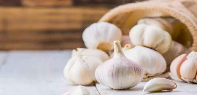 فوائد الثوم للسكر والضغط: علاج طبيعي من مطبخك