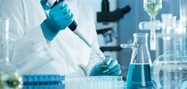 أنواع العلوم الإنسانية: بوابة فهم الإنسان والمجتمع