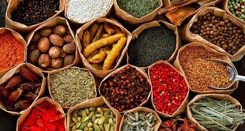 فوائد الأعشاب الطبيعية: كنوز من الطبيعة لصحة أفضل