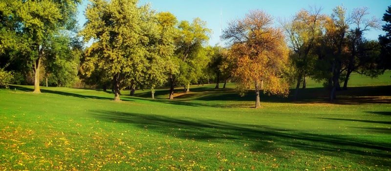 أهمية المساحات الخضراء -ابراج نيوز