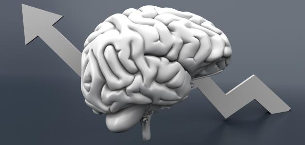 نصائح لتقوية الذاكرة: طرق فعّالة لزيادة التركيز وتحسين القدرات العقلية