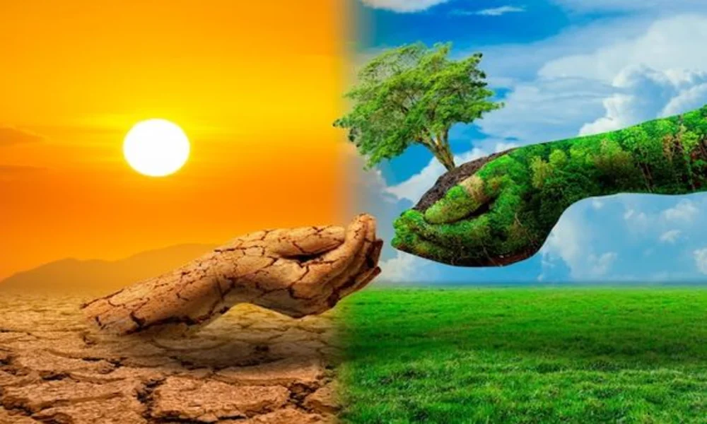 أهمية النباتات في توازن النظام البيئي: سر الحياة على كوكب الأرض