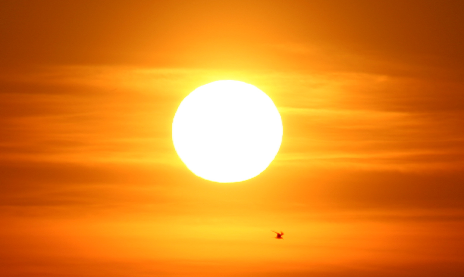 تفسير حلم الشمس في المنام