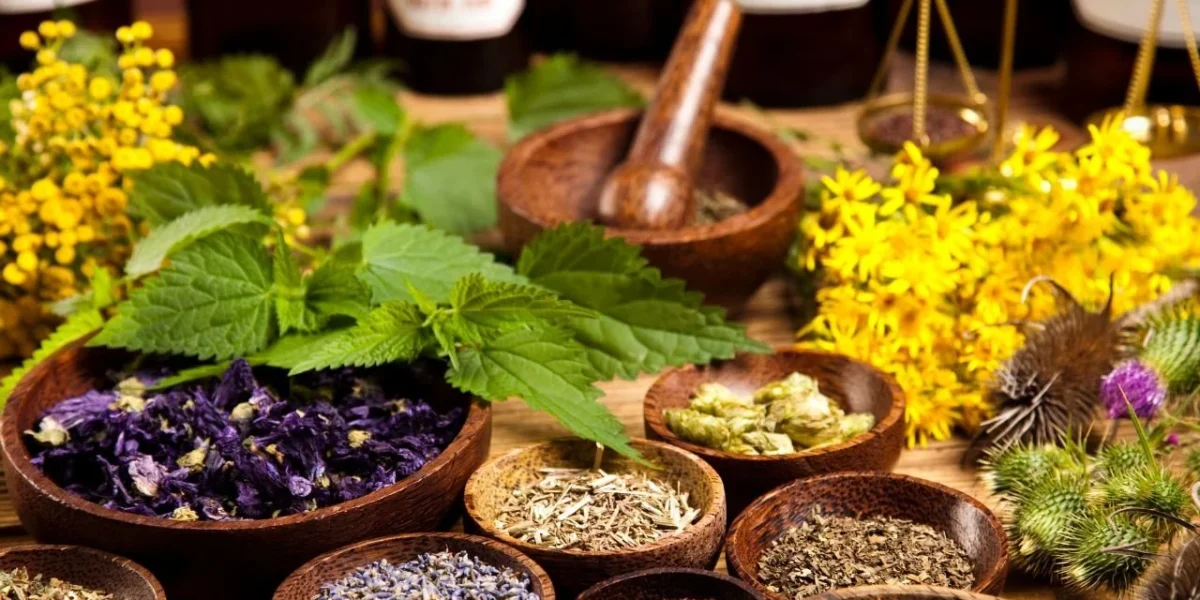 الأعشاب بين الطب التقليدي والطب الحديث.. أيهما أكثر فاعلية؟