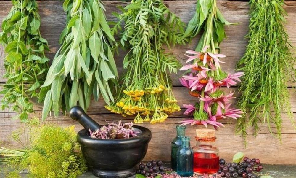 الأعشاب والتكنولوجيا.. كيف تطورت طرق الاستخلاص والتصنيع؟