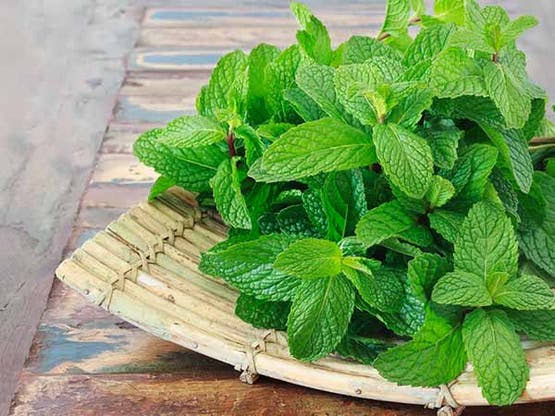 أعشاب مفيدة للجهاز الهضمي