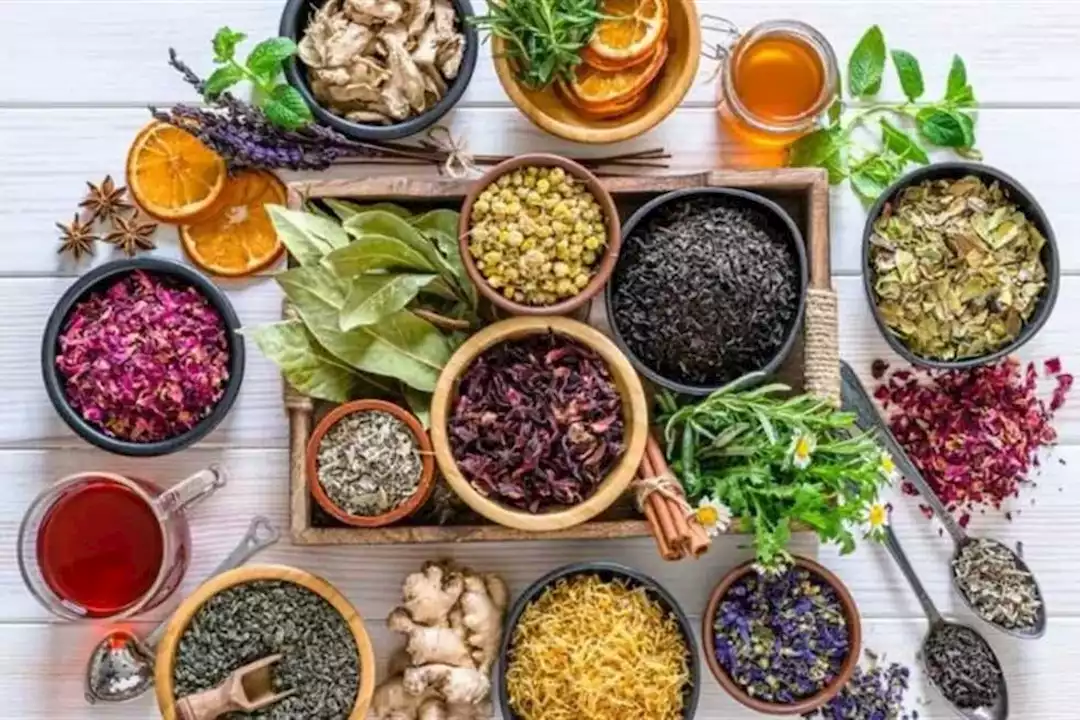 الفرق بين الأعشاب الطبيعية والمكملات الغذائية