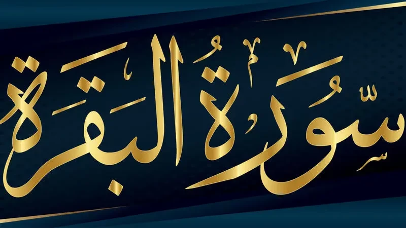 تفسير رؤية سورة البقرة في المنام
