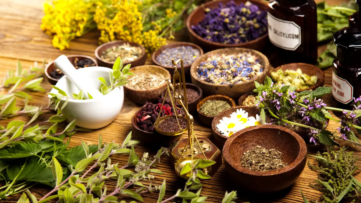 متى تصبح الأعشاب ضارة على الصحة؟