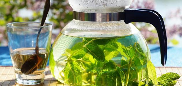 فوائد الأعشاب في التخلص من الغازات