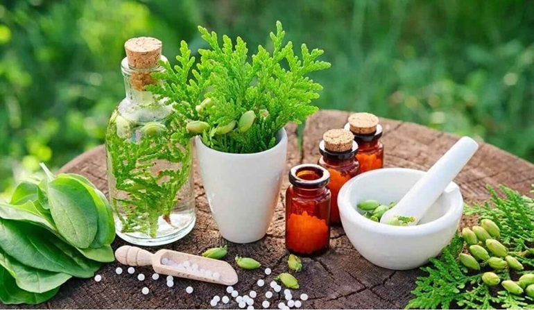 أهمية الأعشاب العطرية.. بين الصحة والنكهة والتوازن الطبيعي