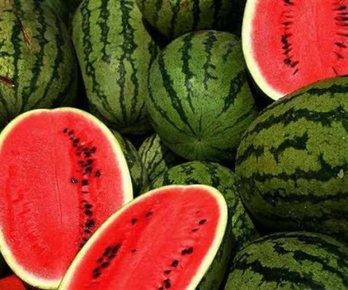 فوائد البطيخ الأحمر للحامل والجنين واضرار البطيخ