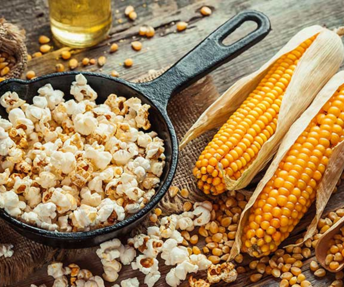 فوائد الذرة الصحية والعناصر الغذائية الموجودة فيها