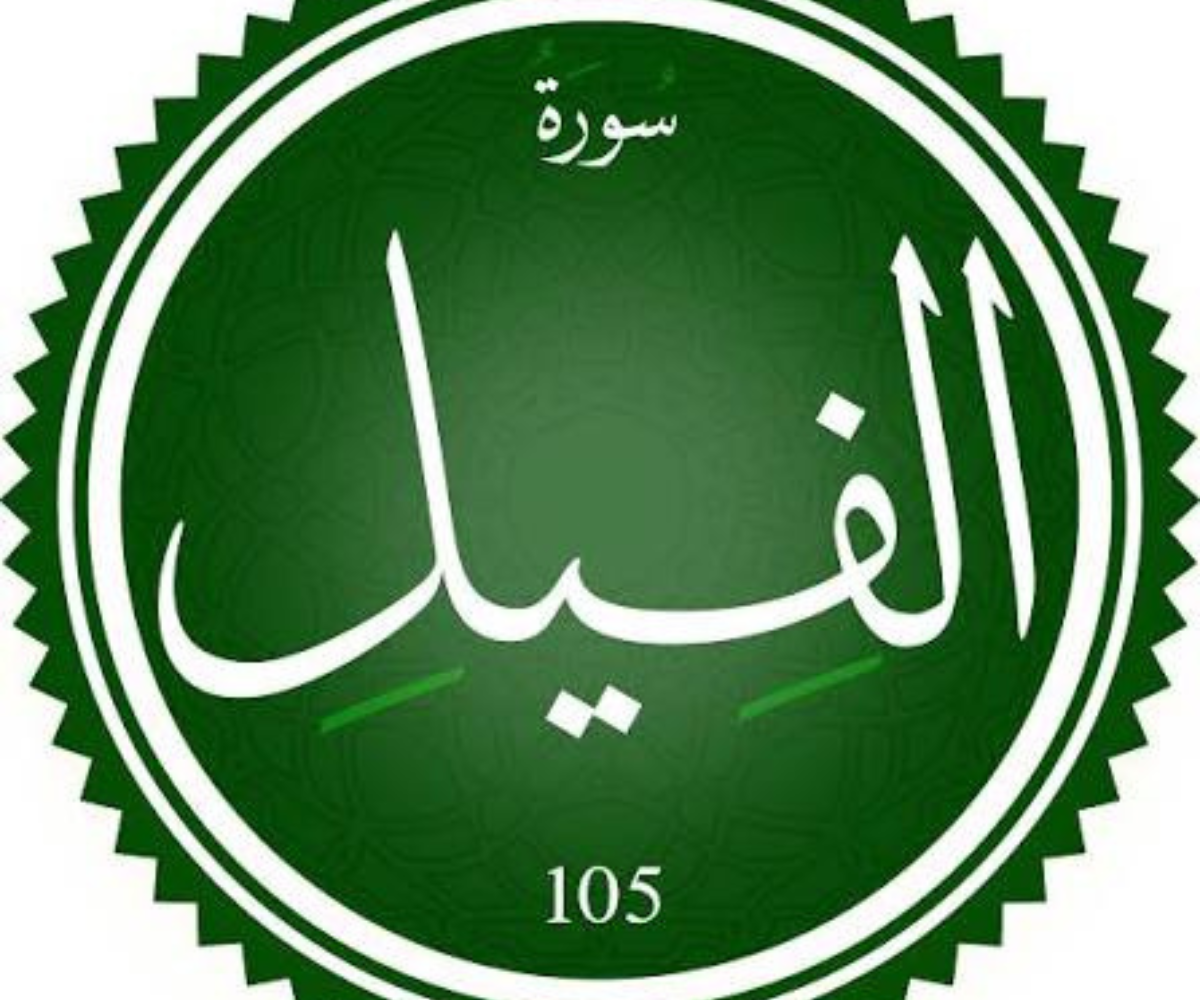 تفسير رؤية سورة الفيل في المنام ودلالات قراءتها وسماعها