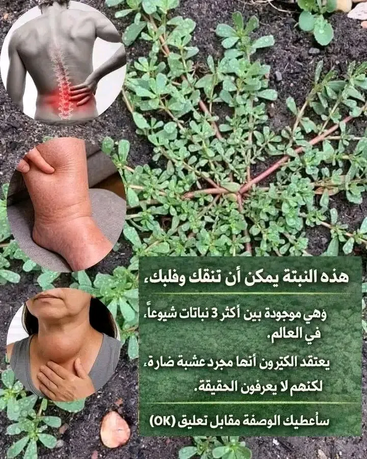 علاج سحري