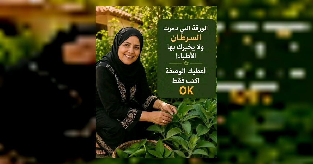 الورقه التي تقضي