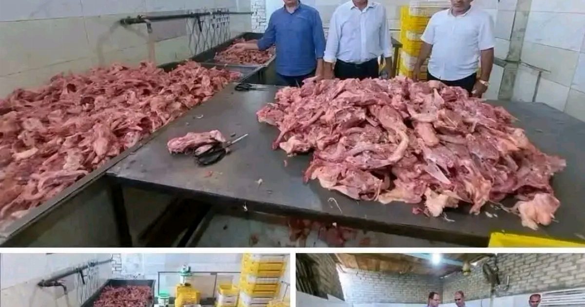 'مصيبه ولازم توصل لكل الناس… عرض المزيد