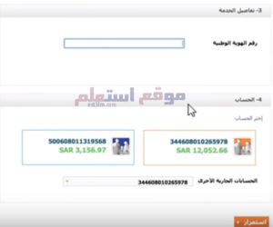 الاستعلام عن رصيد الجوازات