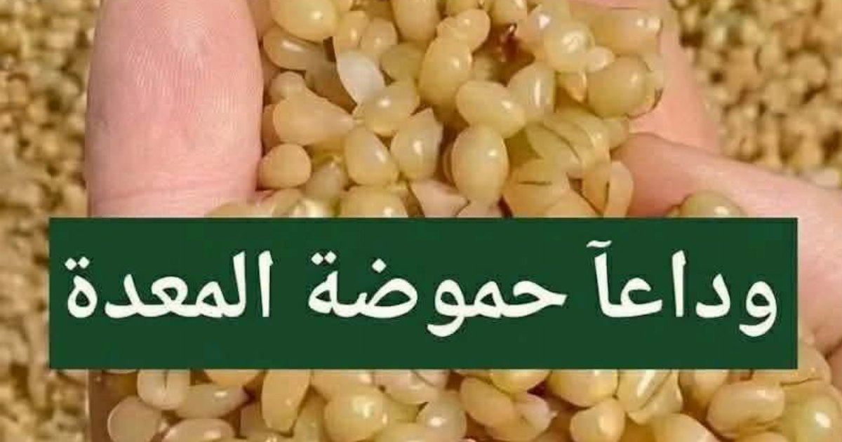 ملعقة من هذه ستشـ،فى من حمو,ضة المعـ,دة وانتفا,خ القو,لون وتقوي المناعة اكتب "تم" وساعطيك الوصفة