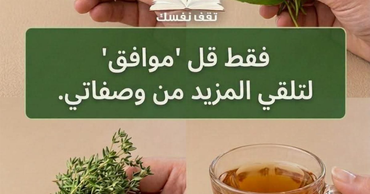 أور،اق مدهشة تشـ.ـفي  اغـ.ـلب أمراضـ.ـك: السـ.ـكري، وضعـ.ـف الدورة الد*موية، وارتـ.ـفاع ضغط الـ.ـدم، والسـ.ـرطان،