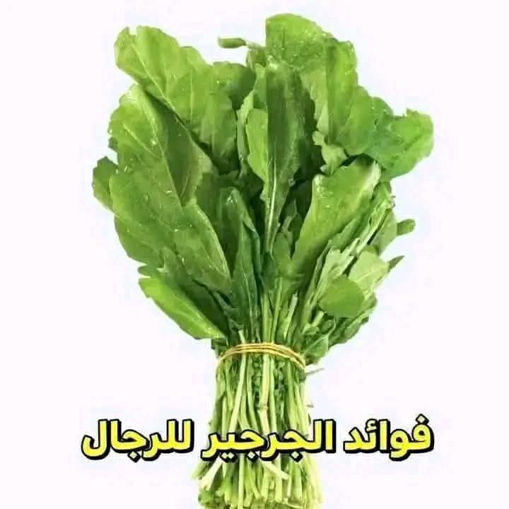 ماذا يحدث لجسم الرجل عند تناول الجرجير باستمرار.. عرض المزيد