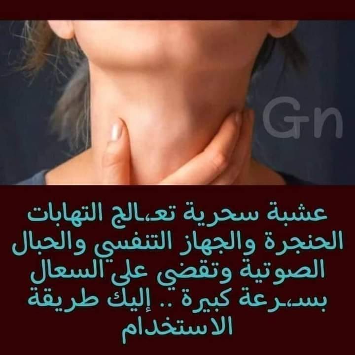 🔥عشبة سحرية تعـ،ـالج التها..بات الحنجرة والجهاز التنفسي والحبال الصوتية وتقضي على السعال بسـ،ـرعة كبيرة .. إليك طريقة الاستخدام؟