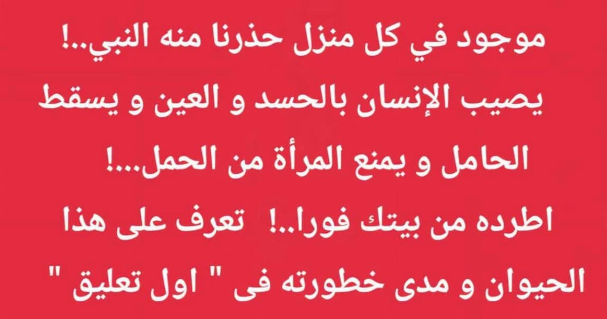 سبب خراب العديد من البيوت تحذير نبوي من حيوان يعيش بيننا