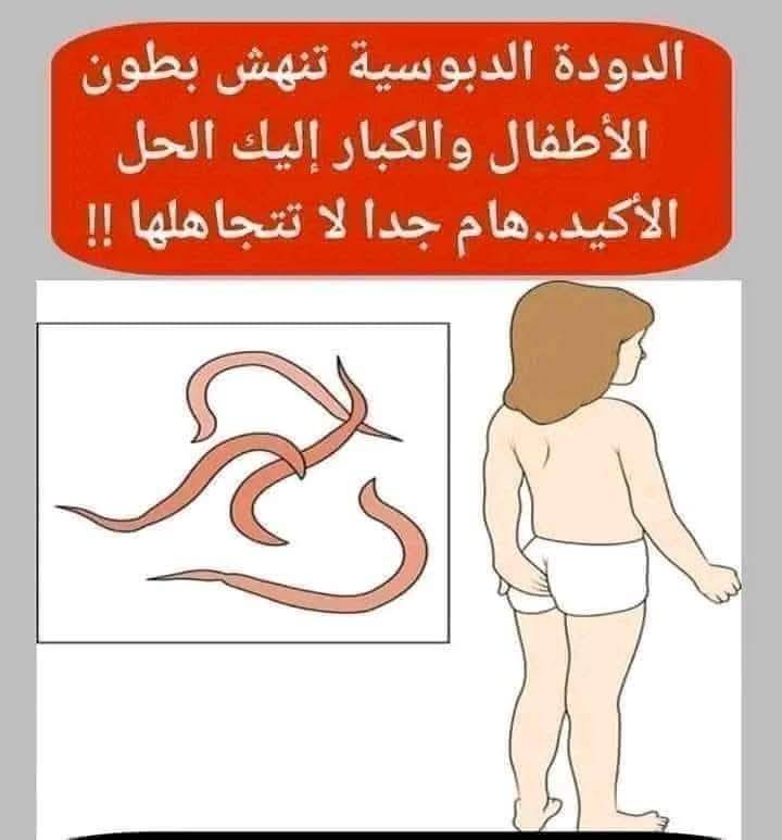 عـ,,ـلاج ديـ,,ـدان البـ,,ـطن