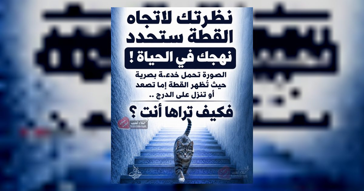 نظرتك لاتجاه القطة ستحدد نهجك في الحياة !