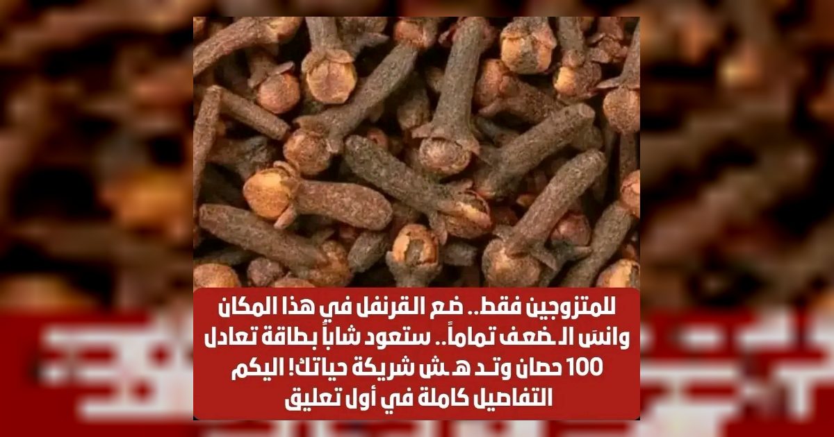 للمتزوجين فقط