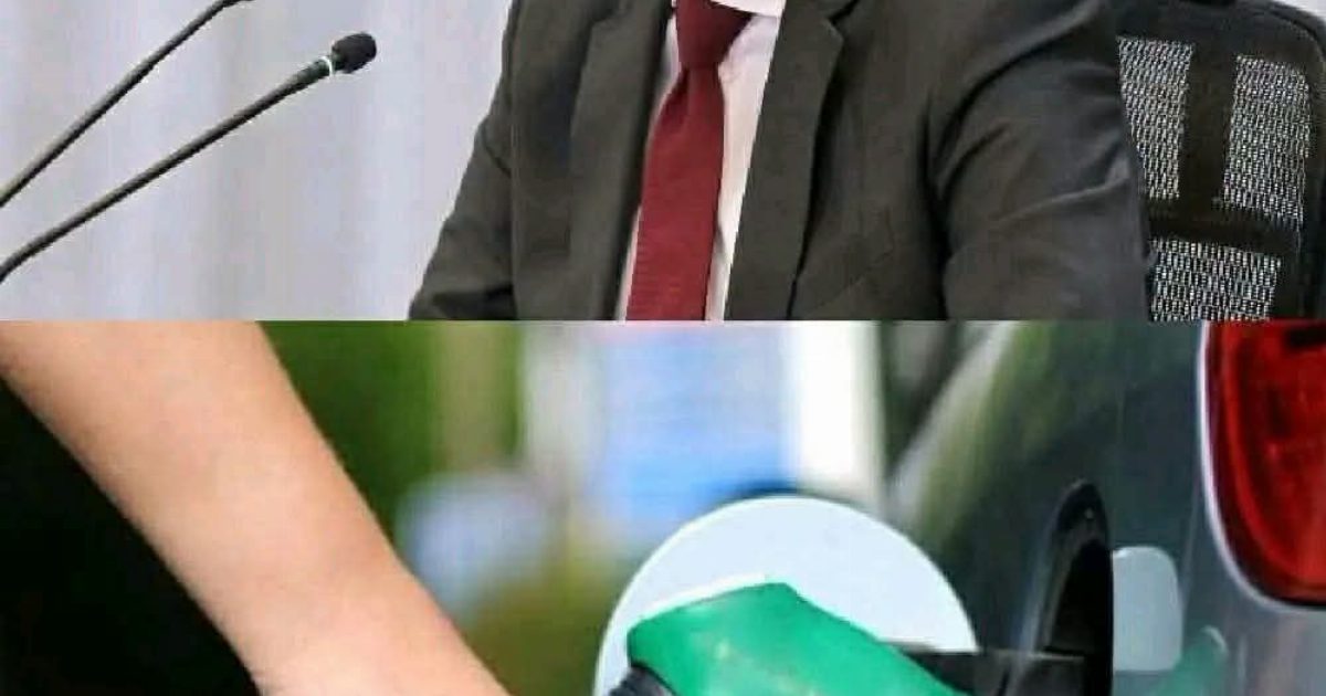 عاجل! مجلس الوزراء يعلن عن أسعار البنزين الجديدة بمحطات الوقود.. عرض المزيد