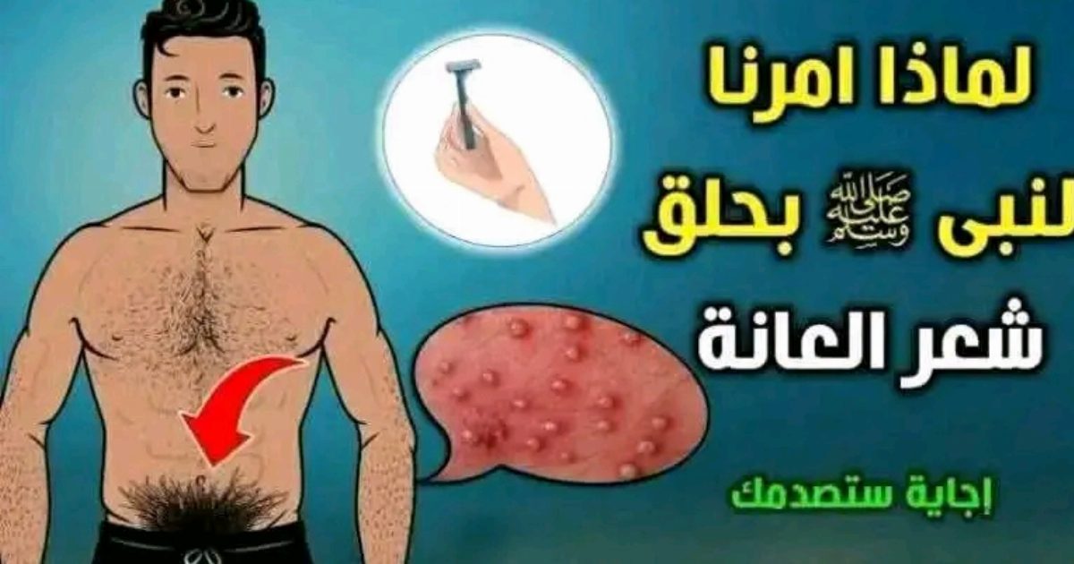 لماذا حثنا الرسول