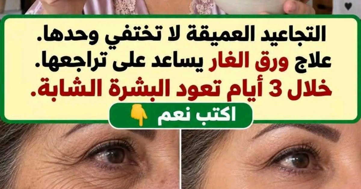ورق الغار
