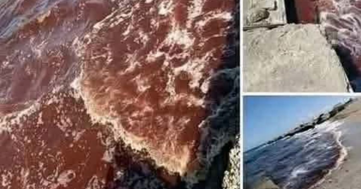 'عاجل علامات البحر المتوسط بدأت بالظهور الكارثة ستضــ,,ـــــرب ... عرض المزيد'