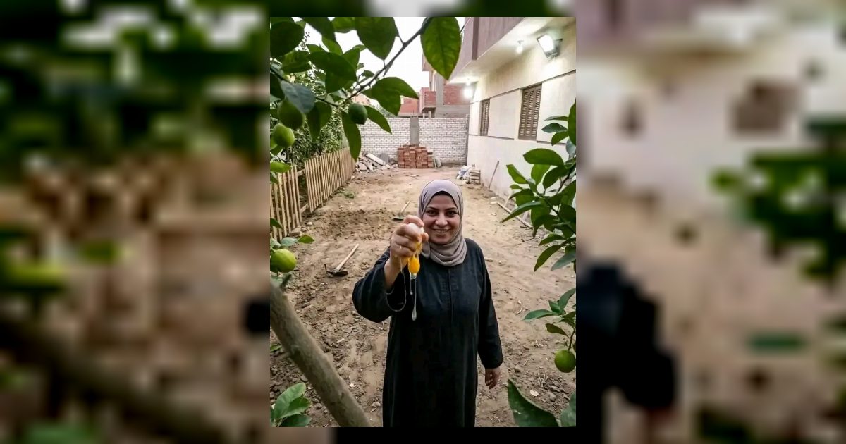 جارتي الجديده
