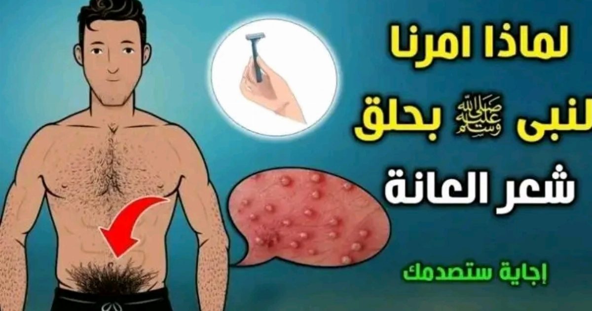 لماذا حثنا الرسول بحلق شعر العا.نة كل 40 يوما.. ستصدم من الإجابة .. السبب هو..عرض المزيد