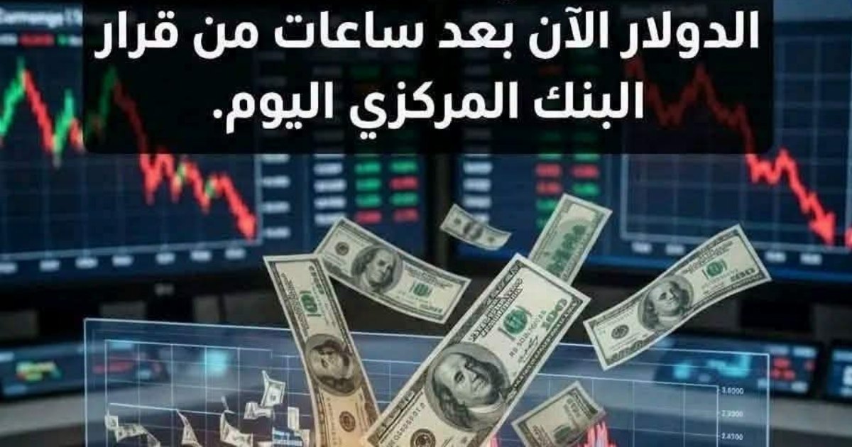 عاجل: سعر الدولار يفاجئ الجميع اليوم...عرض المزيد