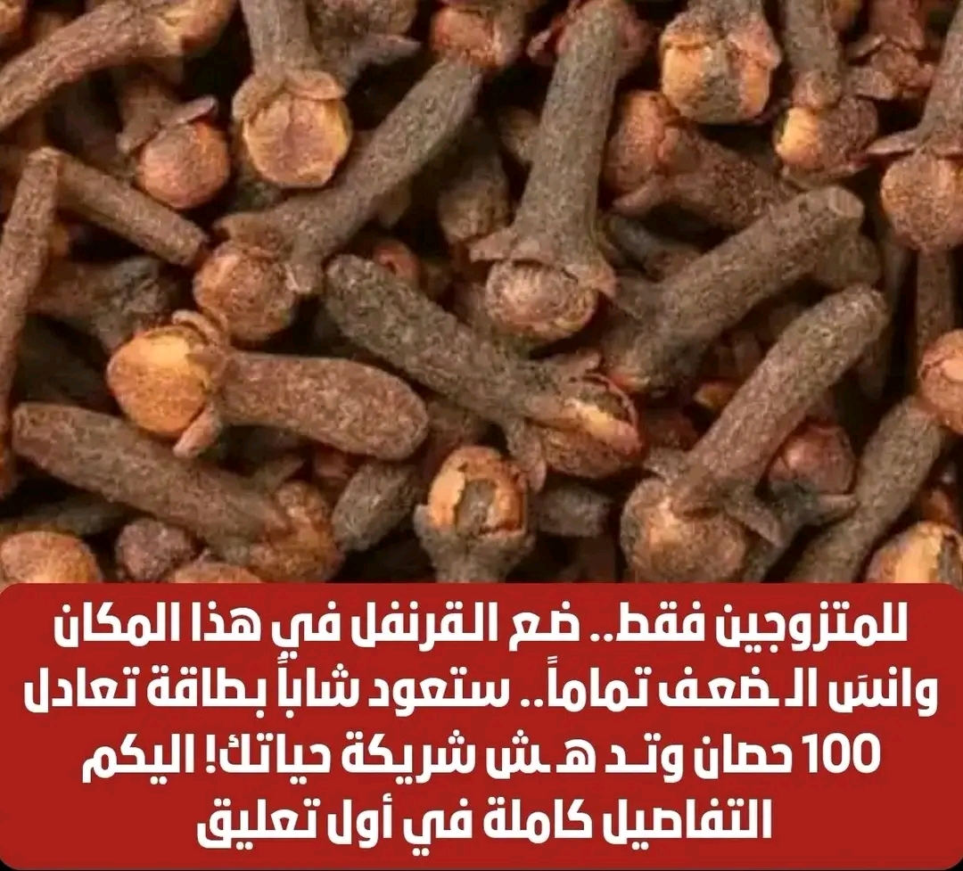 القرنفل للمتزوجين فقط