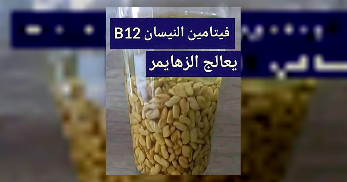 افضل وصـ.ـفة لعـ.ـلاج النسيان وتنشيط الذاكرة تحتوي على فيتامين b12 يحميك من آلزهايمر اكتب سبحان الله او تـ.ـم وشـ.ـاهد اول تعلـ.ـيق