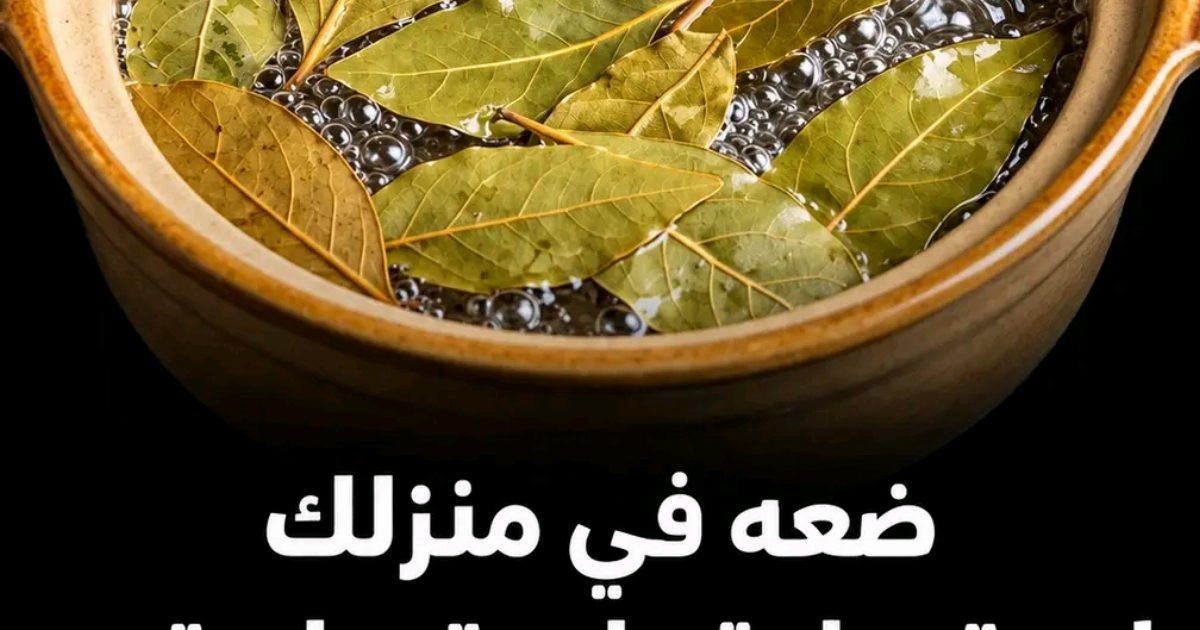 ضعـ.ـه في ركن منزلك وبهذه الطريـ.ـقة وتنتهي معانـ.ـاتك مع حشـ.ـرات الصيف تماما من بيتـ.ـك أنا أقدم لك الوصـ.ـفة، ما عليك غير كتـ.ـابة “تم” وستجد الوصـ.ـفة في أو