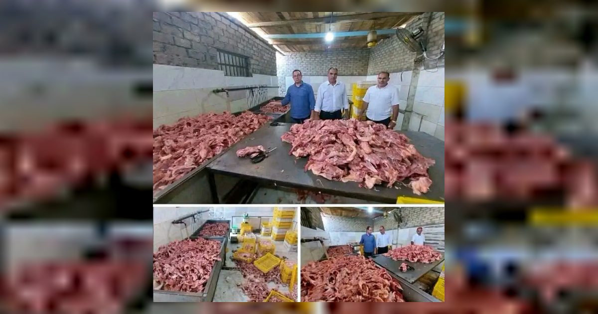 'م.صيبه ولازم توصل لكل الناس… عرض المزيد