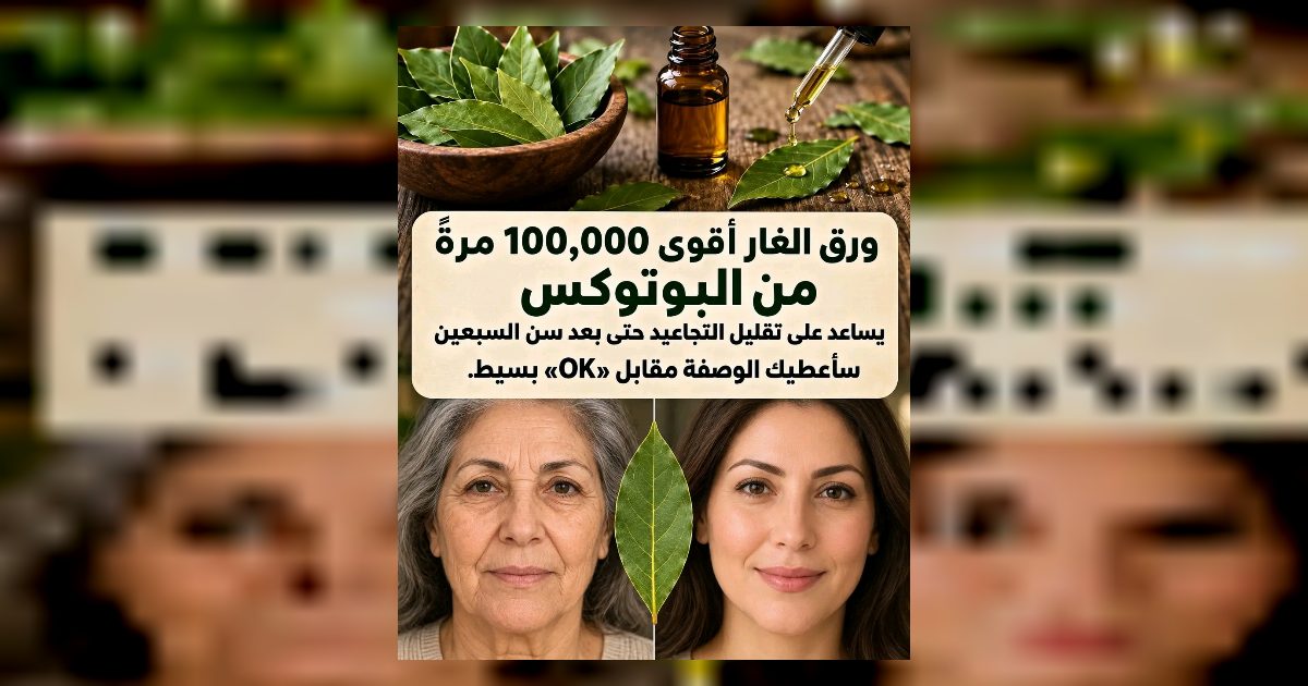 أوراق الغار أقوى بـ 100,000 مرة من البوتوكس. فهي تزيل التجاعيد حتى في سن السبعين. اترك كلمة "OK" لرؤية الوصفة في أول تعليق.