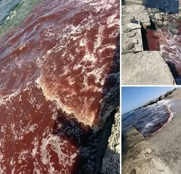 ماذا يحدث في البحر المتوسط في الآونة