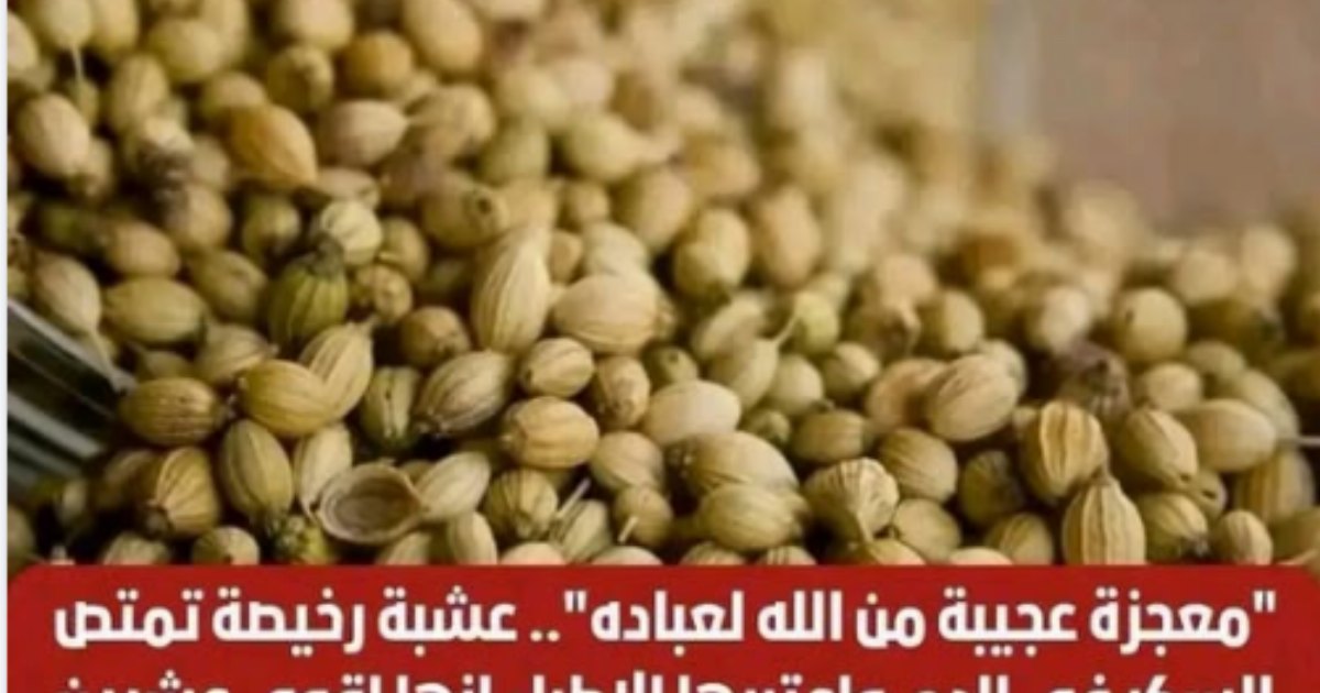 معجزة عجيبة!! تمتص السكر من الدـ ,ـم