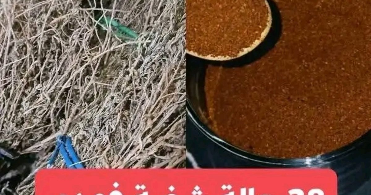 معجزة عشبة الشيح والقهوة… تجربة شـ،،ـفـ،ـاء ملهمة تستحق اول تعليق