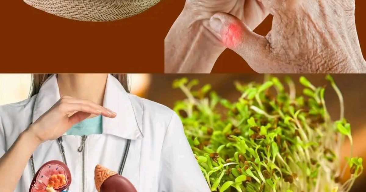 هذه النبته تعالج الكلى والنقرس