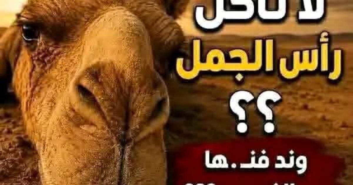 راس الجمل
