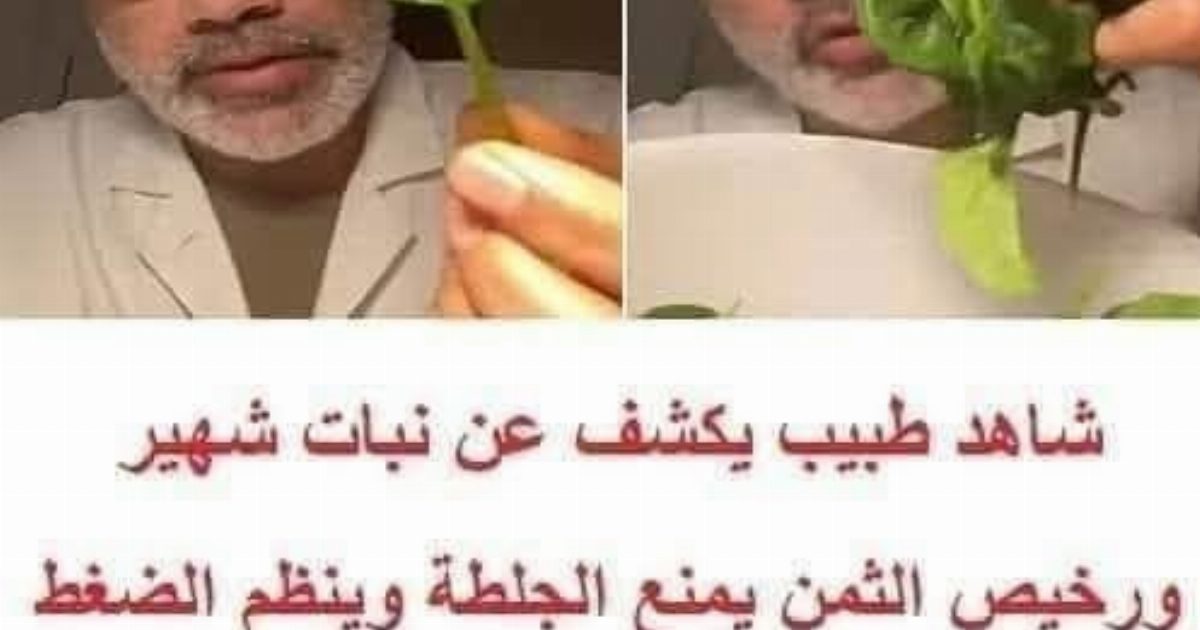 طبيب يكشف عن نبات شهير ورخيص الثمن يمنع الجـ,ـلطة