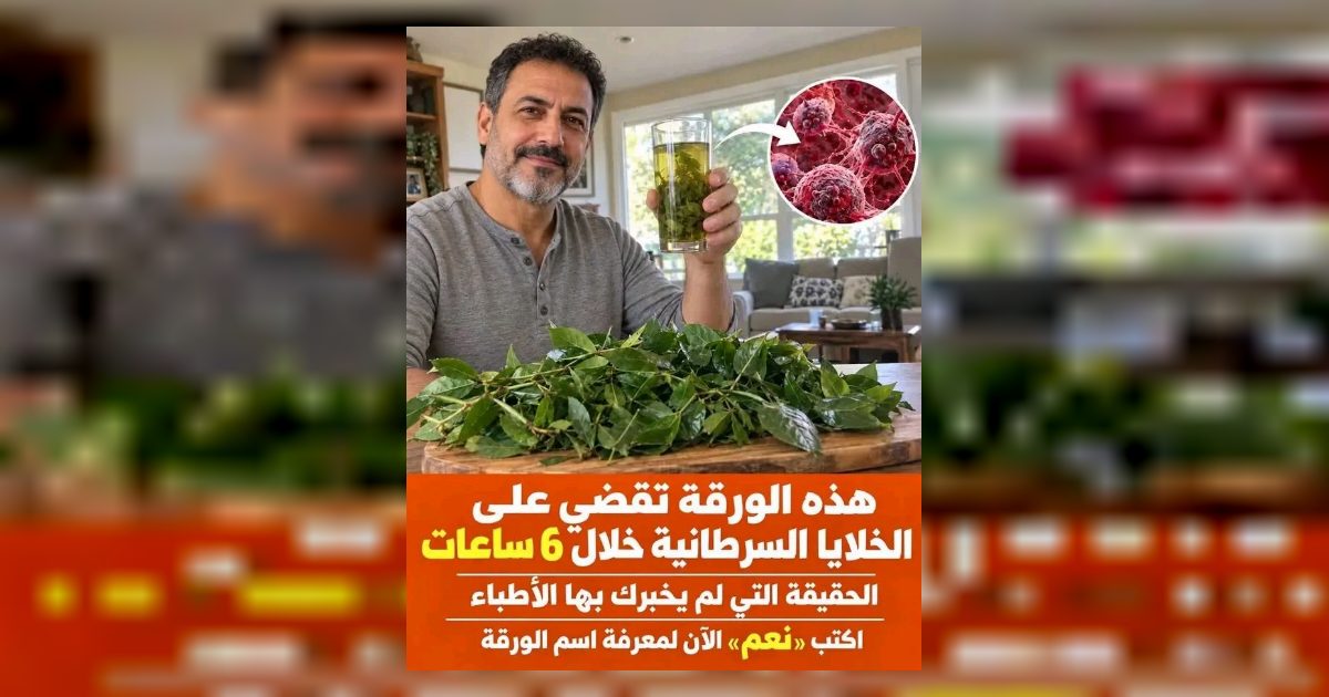 هذه الاوراق