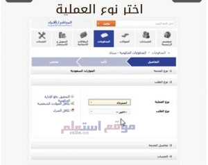 الاستعلام عن رصيد الجوازات